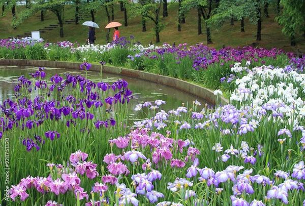 Fototapeta Colorful Iris Garden with Blossoming Flowers Around a Serene Pond on a Rainy Day