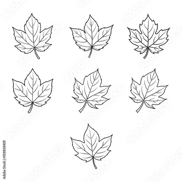 Fototapeta Vector line art and hand drawing flower art black and white flat design simple flower.