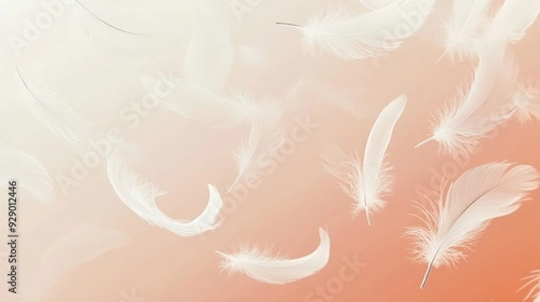 Obraz A soft gradient background with floating white feathers, creating a serene and delicate atmosphere.
