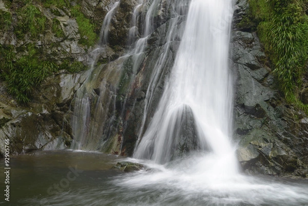 Fototapeta 香川県塩江町　不動の滝

