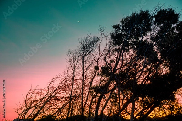Obraz Myrtle Beach Sunset