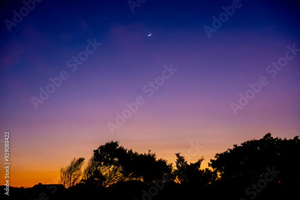 Obraz Myrtle Beach Sunset