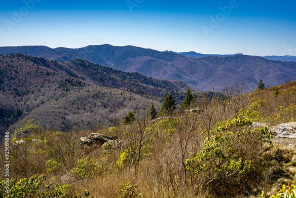Obraz Blue Ridge Mountains
