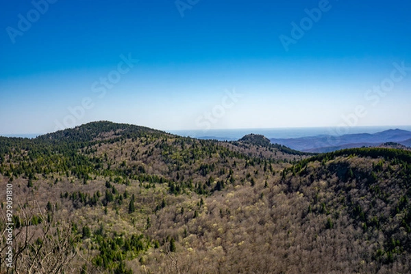 Obraz Blue Ridge Mountains