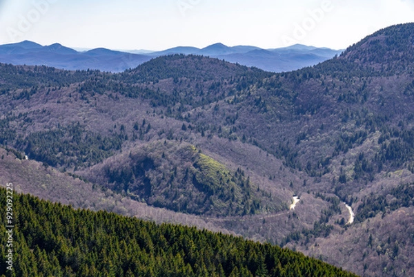 Obraz Blue Ridge Mountains