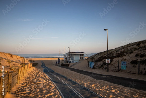 Fototapeta Plage dans les Landes
