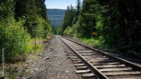 Obraz railway in the forest