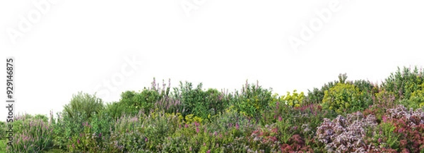Obraz Colorful flower field foreground on transparent background