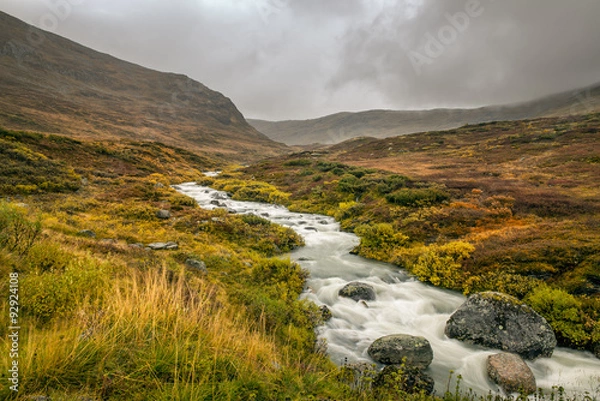 Fototapeta Creek in the Mountain pass over Sognefjellet, Norway