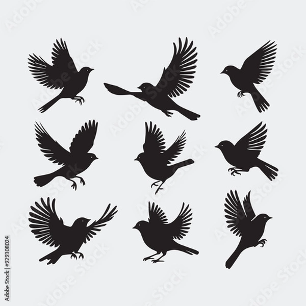 Obraz Bird silhouette