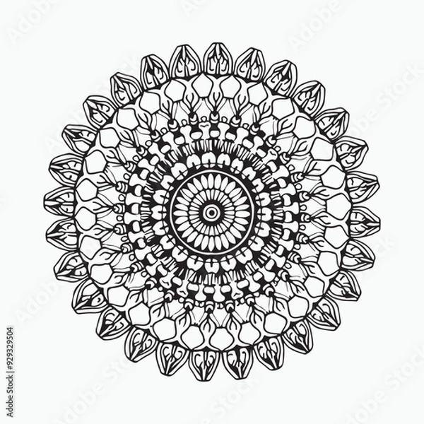 Obraz Hand-Drawn Floral Mandala Art 