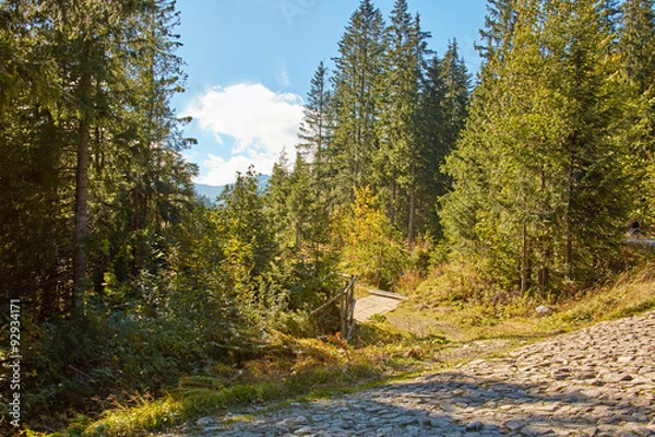 Obraz Szlak w Tatrach