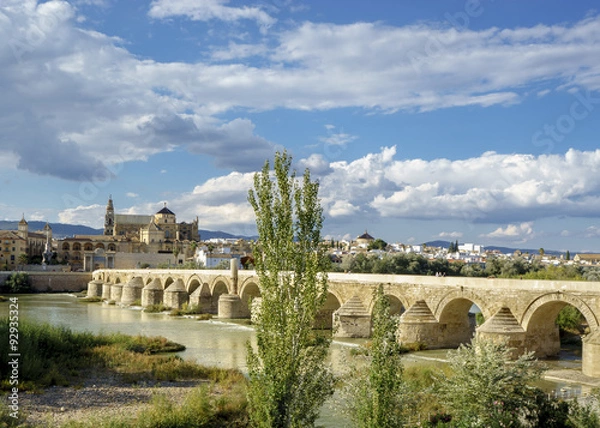 Obraz Mosque view from across the river