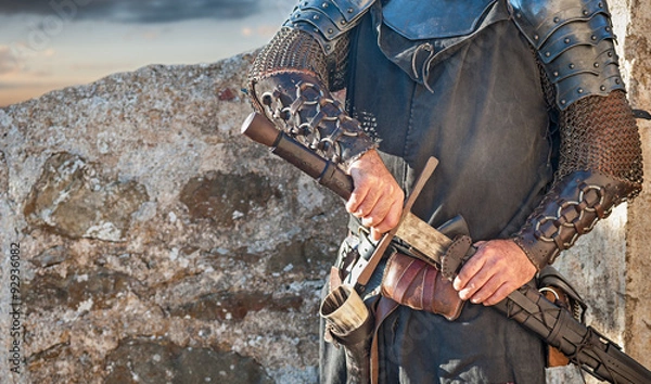 Fototapeta  knight