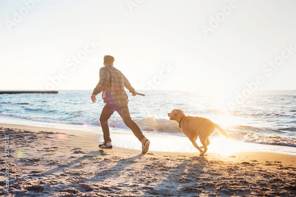 Fototapeta młody kaukaski mężczyzna gra z labradorem na plaży podczas wschodu słońca