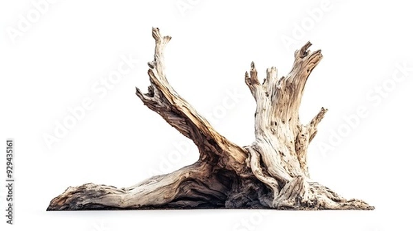 Fototapeta Ancient tree trunk Dead tree isolated on white background Barn tree Isolated root : Generative AI