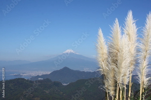 Obraz 伊豆、沼津市葛城山から見た駿河湾と富士山