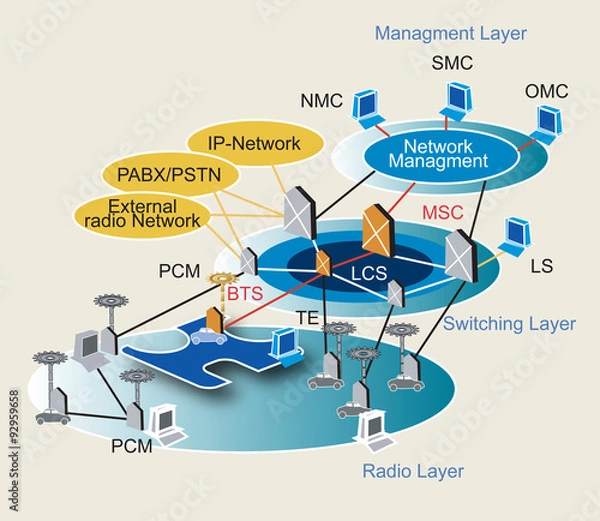 Obraz Network management scheme. Vector