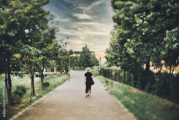 Fototapeta 公園の遊歩道と女性後ろ姿