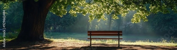 Fototapeta Bench in a Forest with Sunlight Streaming Through the Trees - Photo
