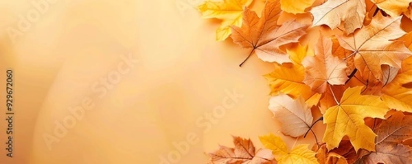 Fototapeta Autumn leaves in warm tones create a serene and cozy atmosphere, perfect for seasonal themes and backgrounds.