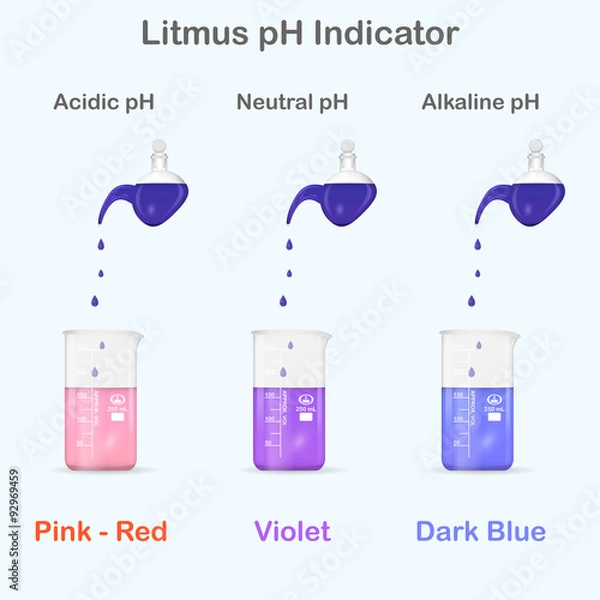 Fototapeta Mesuring of pH with litmus indicator