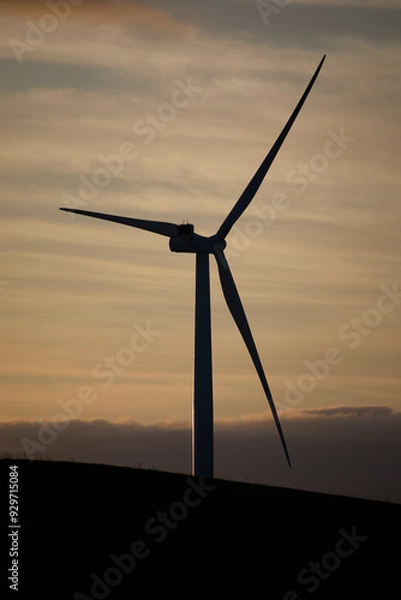 Obraz 風力発電　風車