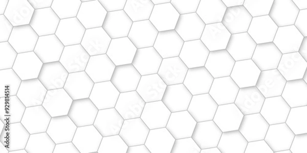 Obraz Abstract background with white color hexagons and seamless pattern vector design . luxury white pattern geometric mesh cell texture .hexagon 3d background texture design .