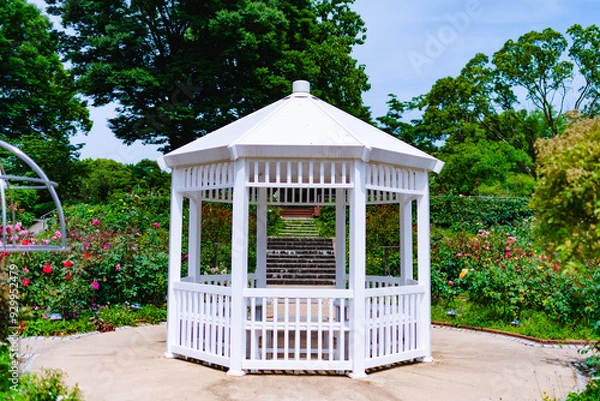 Obraz gazebo in the park
