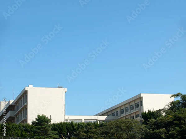 Fototapeta 青空の下、緑の木に浮かぶ建物