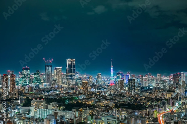 Fototapeta 日本の首都東京の夜景