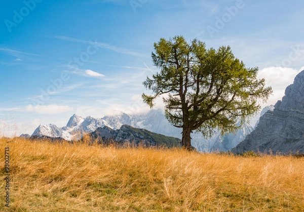 Fototapeta Beautiful mountain panorama in Julian Alps in Slovenia. This is a typical postcard from Slemenova spica with the mighty Jalovec in the backround.