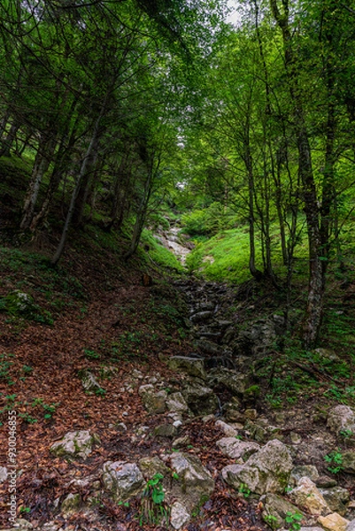 Fototapeta A hiking path through the Chiemgau forest on the way to the peak of the Kampenwand mountain