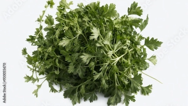 Obraz Dry parsley leaves 