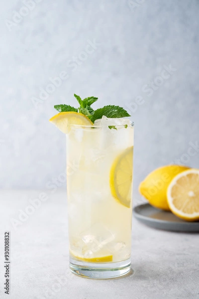 Fototapeta Freshness mojito drink with lemon, mint and ice. Citrus lemonade on a light background with fruits.