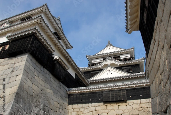 Fototapeta 愛媛松山城