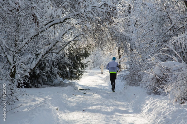 Fototapeta Onset of winter in the English Garden in Munich, Bavaria, Germany: Running man under snowy trees - jogging in the beautiful snowy landscape on a sunny December day