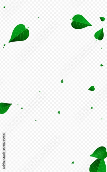 Fototapeta 1600x2560-06__list_2_01.eps