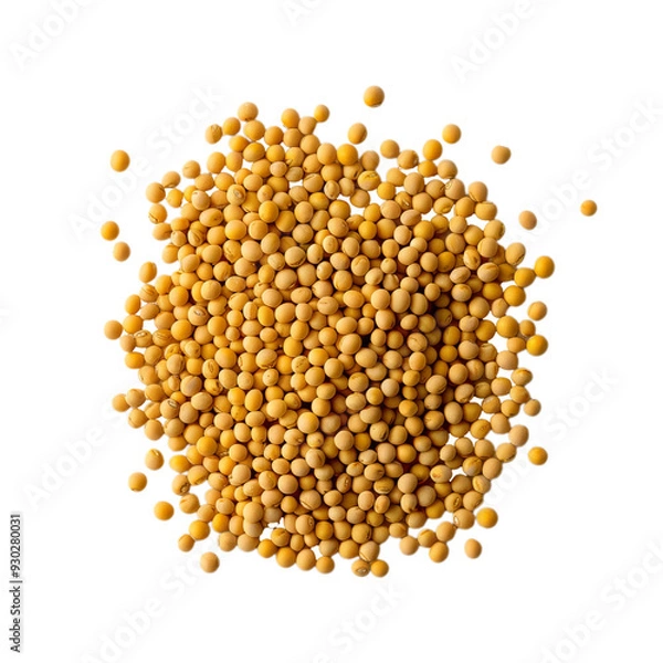 Fototapeta Top view of a yellow mustard seed with a smooth round surface, isolated on a transparent background 