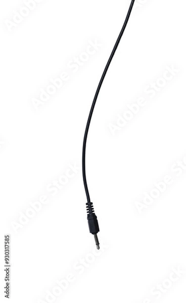 Obraz Black audio plug and black cable.