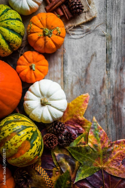 Obraz Colorful pumpkins and fall leaves on rustic wooden background