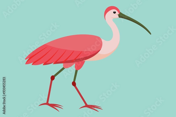 Fototapeta Heron vector art and illustration