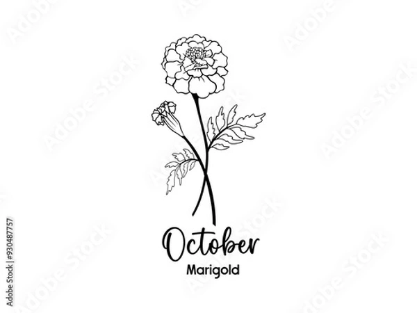 Obraz Birth Month Flowers design 