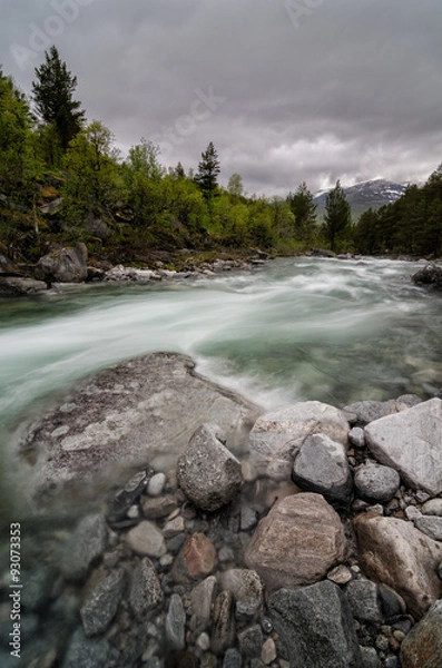 Fototapeta Go with the flow