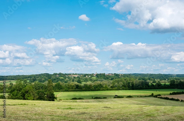 Fototapeta countryside landscape of pays d'argonne with village and trees under blue summer sky