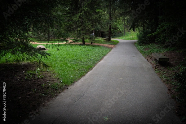 Obraz 公園　道　芝生　無人