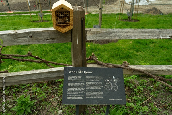 Fototapeta 蜂の巣　巣箱　ハチの巣箱　観察　自然観察　理科　六角形