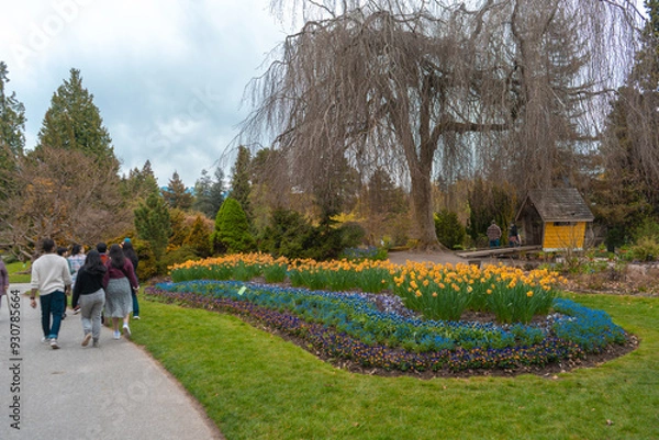 Fototapeta 花壇　花　公園　春　散歩