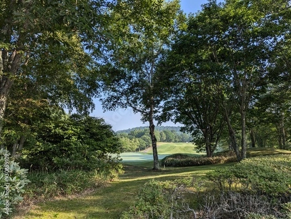 Obraz path in the park