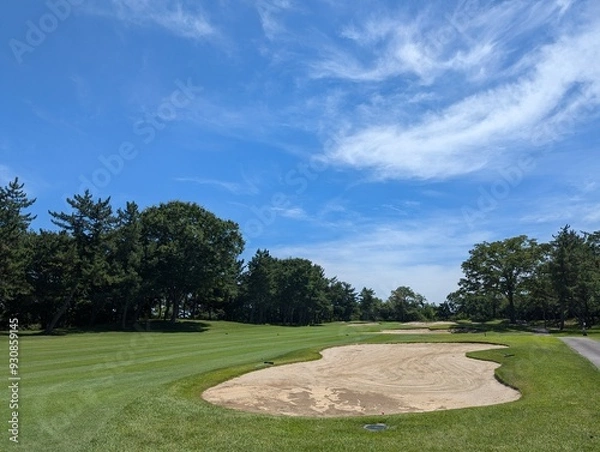 Obraz golf course in the summer